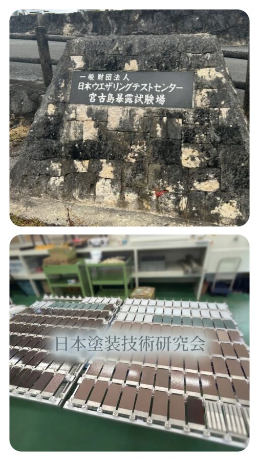 暴露試験